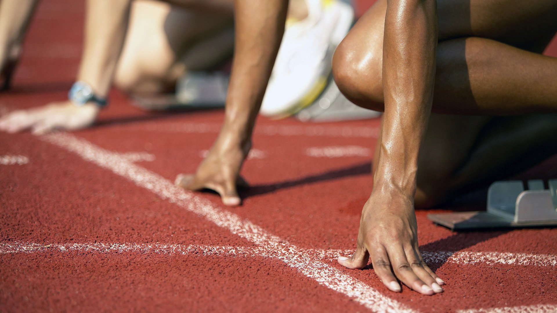 体育新闻中心发布体育内容原创度智能评估工具,体育新闻可视化